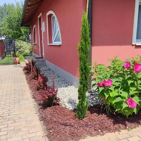 Bed & Breakfast Tavi Panzio *