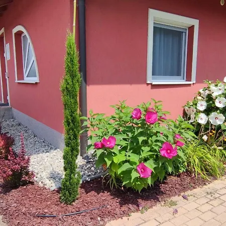 Tavi Panzio Bed & Breakfast *